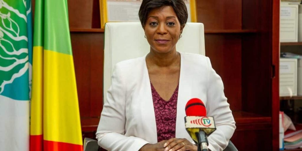 Brazzaville va abriter le sommet des trois grands bassins forestiers