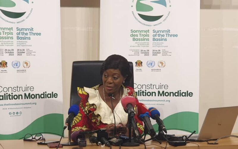 Sommet des trois bassins forestiers : les Etats adopteront la déclaration de principe