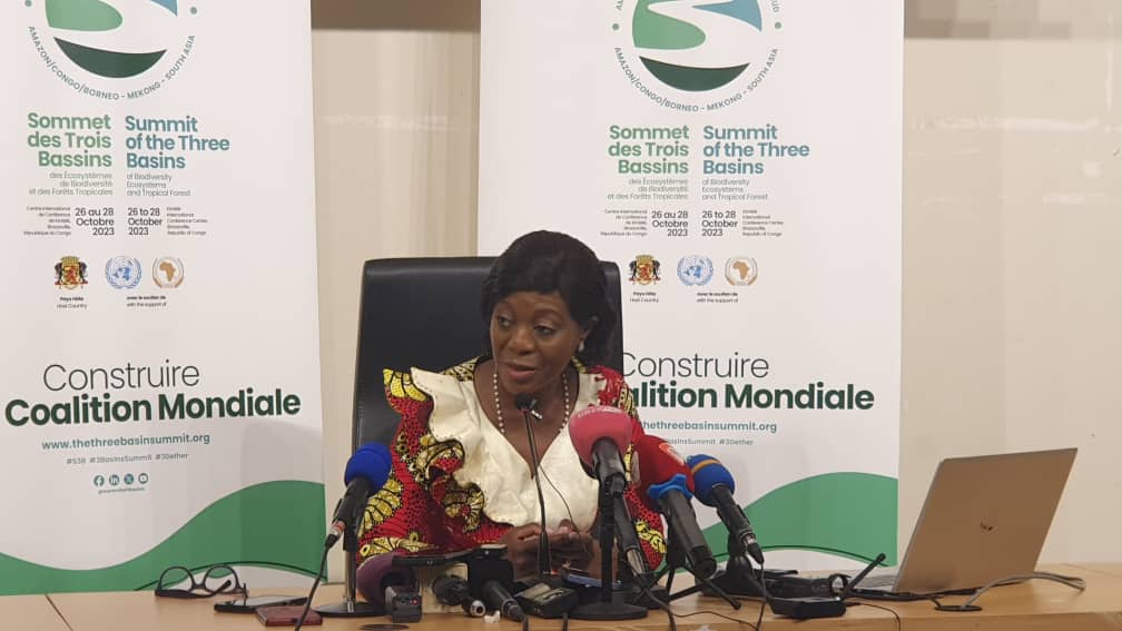 Sommet des trois bassins forestiers : les Etats adopteront la déclaration de principe
