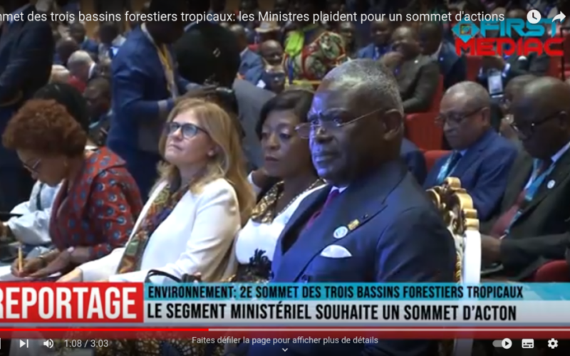 Sommet des trois bassins forestiers tropicaux: les Ministres plaident pour un sommet d&rsquo;actions