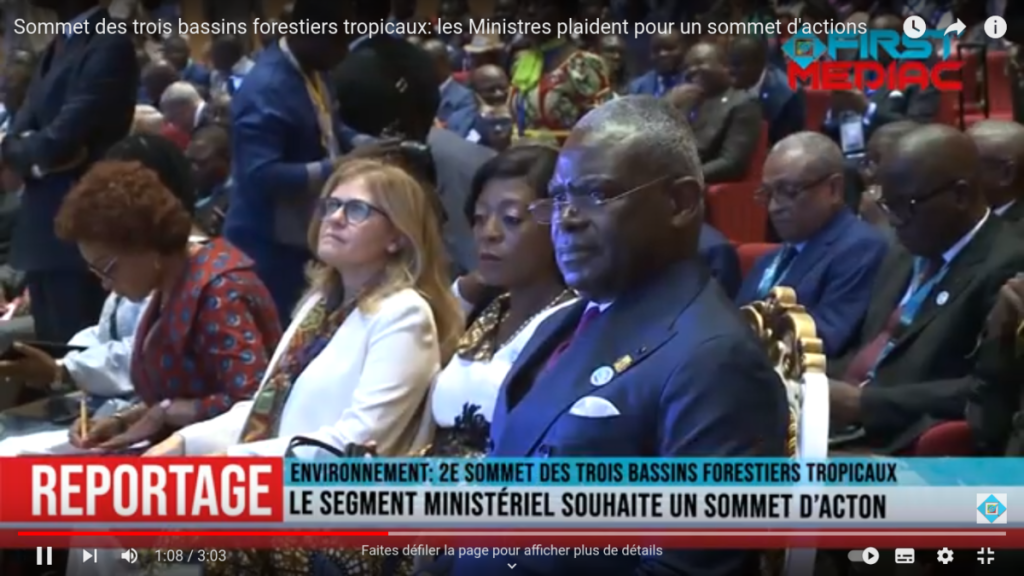 Sommet des trois bassins forestiers tropicaux: les Ministres plaident pour un sommet d&rsquo;actions