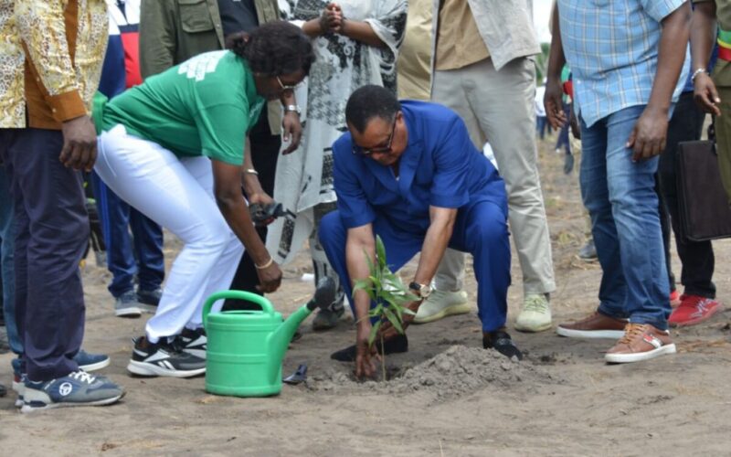 37ème JNA : Denis Sassou N’Guesso incite le monde à adopter la décennie mondiale d’afforestation et de reboisement