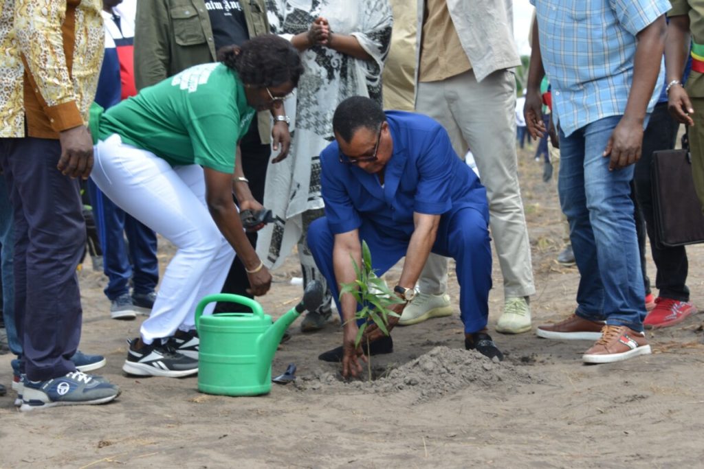 37ème JNA : Denis Sassou N’Guesso incite le monde à adopter la décennie mondiale d’afforestation et de reboisement