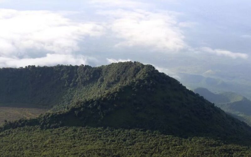 Congo : sommet international sur les forêts tropicales à Brazzaville