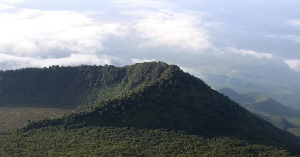 Congo : sommet international sur les forêts tropicales à Brazzaville