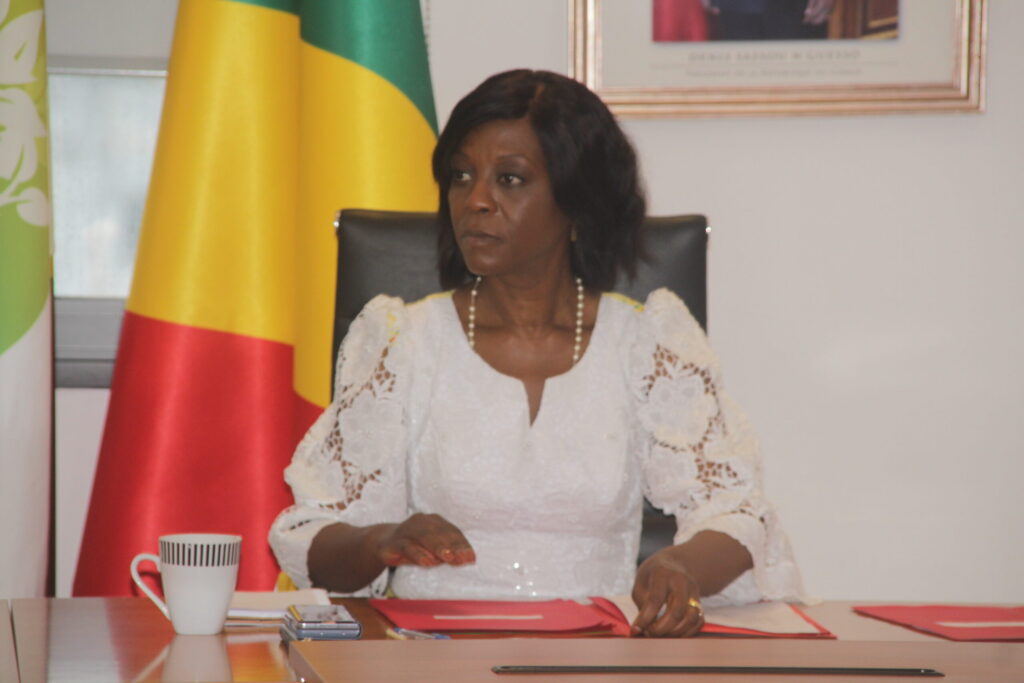 Environnement : des échanges techniques sur la facilitation des forêts du bassin du Congo