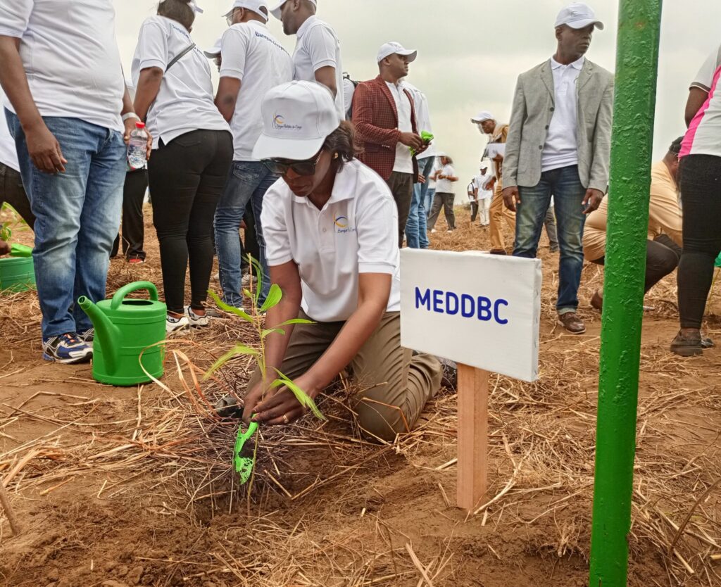Le planting d&rsquo;arbres, l&rsquo;une des démarches de lutte contre le changement climatique