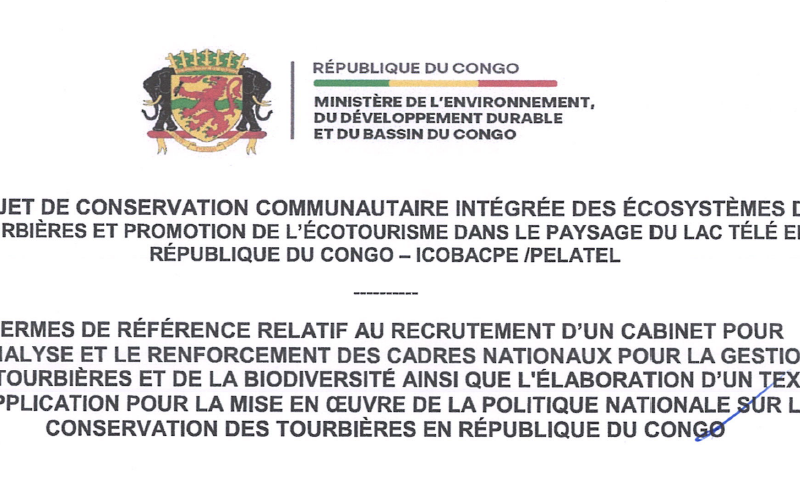 Recrutement d&rsquo;un cabinet pour l&rsquo;analyse et le renforcement des cadres nationaux pour la gestion des tourbières et de la biodiversité ainsi que l&rsquo;élaboration d&rsquo;un texte  d&rsquo;application pour la mise en œuvre de la politique nationale sur la conservation des tourbières en République du Congo