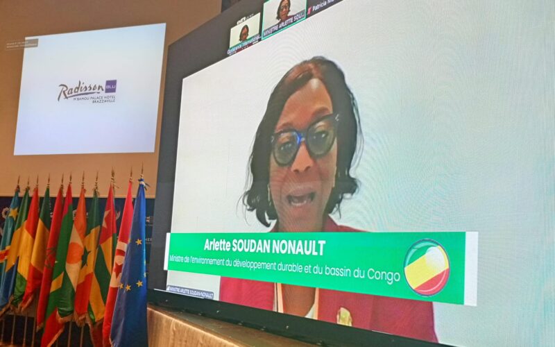 Les Etats africains face aux défis environnementaux et de développement durable