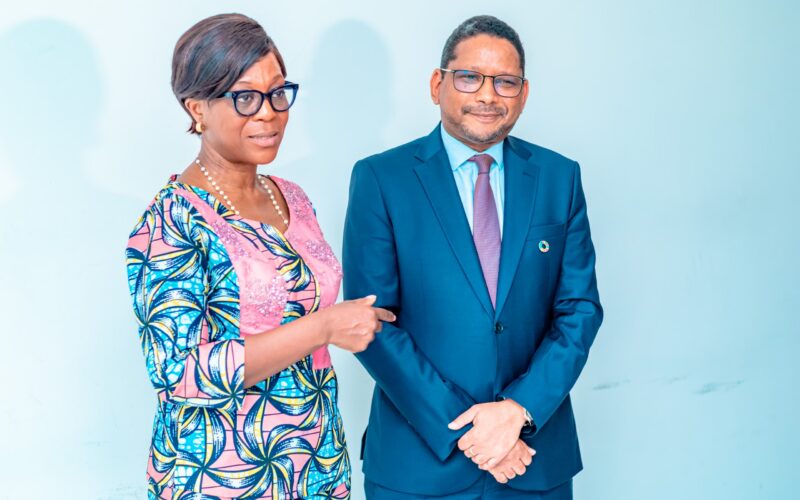 La Ministre Soudan-Nonault a reçu M. ABDOURAMANE DIALLO, coordinateur Résident du Système des Nations unies