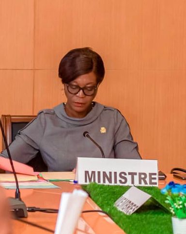 Le Ministère de l&rsquo;Environnement, du Développement Durable et du Bassin du Congo met en œuvre une politique de réforme sectorielle