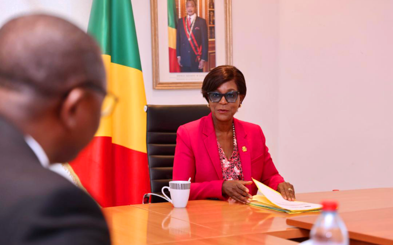 Séance de travail entre la Ministre Soudan-Nonault et une délégation de l&rsquo;OMS conduite par le docteur Vincent DOSSOU SODJINOU
