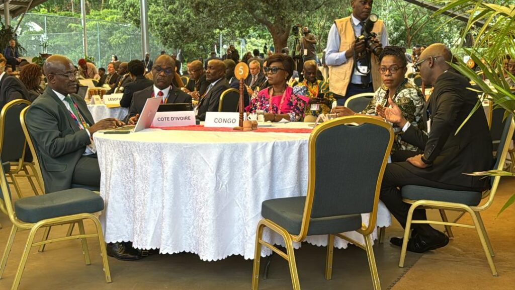 Le Cœur de l&rsquo;Afrique à l’UNEA 7