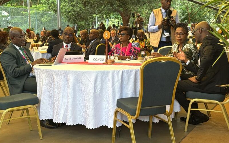 Le Cœur de l&rsquo;Afrique à l’UNEA 7