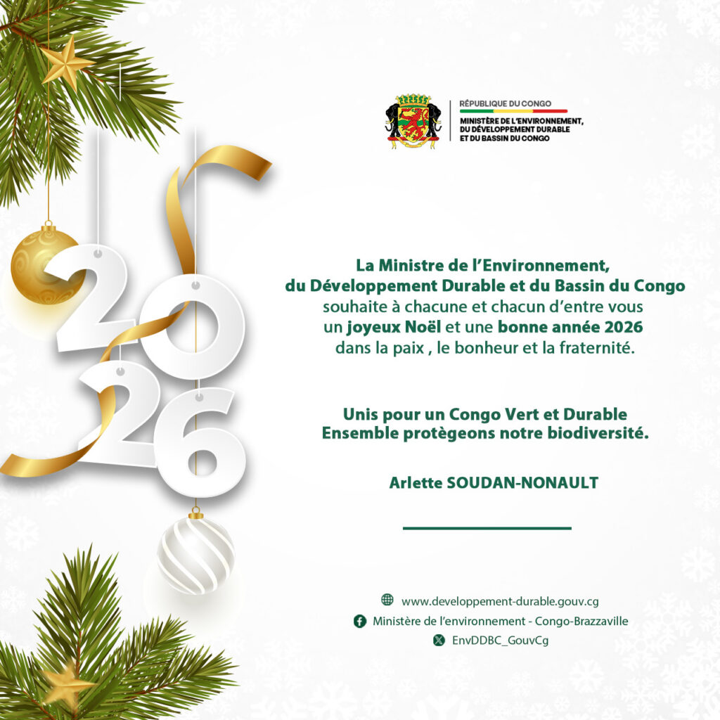 Joyeux Noël et bonne année 2026